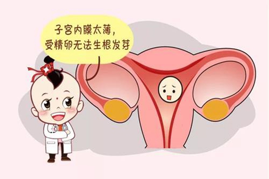 子宫内膜厚度受到哪些因素影响？