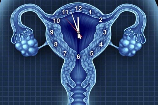 做试管婴儿会导致卵巢早衰？