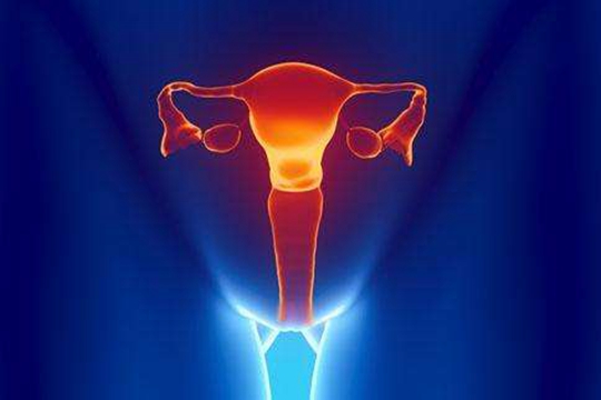 做试管婴儿会导致卵巢早衰？
