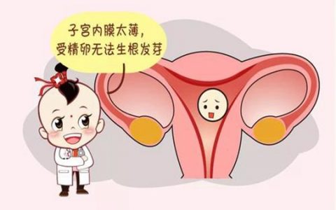 子宫内膜厚度受到哪些因素影响？